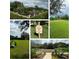 Community garden and dog park at 15953 Cobble Mill Dr, Wimauma, FL 33598