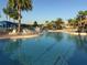 Expansive pool area with palm trees and lake view at 15953 Cobble Mill Dr, Wimauma, FL 33598