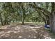 Pasture with mature oak trees and a small shed at 8602 State Road 674, Wimauma, FL 33598
