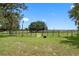 Round pen riding arena with green grass at 8602 State Road 674, Wimauma, FL 33598