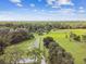 Panoramic aerial view of the vast property, featuring a long driveway and lush greenery under a blue sky at 3520 Leslie West Rd, Dover, FL 33527