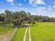 Long driveway leading to a charming home, surrounded by lush greenery and mature trees under a blue sky with clouds at 3520 Leslie West Rd, Dover, FL 33527