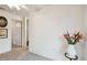 Neutral carpeted hallway with white walls leads to other parts of the house at 3520 Leslie West Rd, Dover, FL 33527