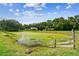 Scenic view of a pond surrounded by lush greenery and a charming fence at 3520 Leslie West Rd, Dover, FL 33527