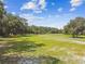 Expansive green yard enclosed by fencing, perfect for recreation, and surrounded by lush trees under blue skies at 3520 Leslie West Rd, Dover, FL 33527