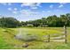 Peaceful pond view with lush greenery and blue skies at 3520 Leslie West Rd, Dover, FL 33527