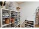 Organized closets with shelving and hanging space at 3520 Leslie West Rd, Dover, FL 33527