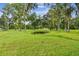 Serene pond surrounded by lush greenery and trees with Spanish moss at 3520 Leslie West Rd, Dover, FL 33527