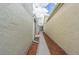Side yard with a concrete pathway between two buildings at 4509 Tidal Pond Rd, New Port Richey, FL 34652