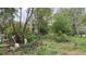 Overgrown backyard with mature trees and plants at 33255 State Road 70 E, Myakka City, FL 34251
