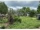 Large backyard with overgrown vegetation and a shed at 33255 State Road 70 E, Myakka City, FL 34251