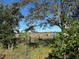 Cattle grazing in a fenced pasture at 33255 State Road 70 E, Myakka City, FL 34251
