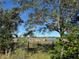 Cattle grazing in a fenced pasture at 33255 State Road 70 E, Myakka City, FL 34251