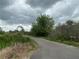 Paved driveway meandering through a natural landscape at 33255 State Road 70 E, Myakka City, FL 34251