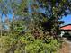 Landscaped area with vibrant bougainvillea at 33255 State Road 70 E, Myakka City, FL 34251