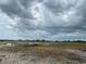 Open pasture with some dead trees and debris at 33255 State Road 70 E, Myakka City, FL 34251