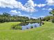 Picturesque pond with lush vegetation, creating a peaceful backyard setting at 19334 Autumn Woods Ave, Tampa, FL 33647