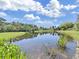 Serene pond view with lush greenery and a tranquil atmosphere at 19334 Autumn Woods Ave, Tampa, FL 33647