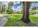 A large tree in the yard along with a bench next to the sidewalk in the distance at 6536 Northlake Dr, Zephyrhills, FL 33542