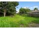 Overgrown backyard with tall grass and trees at 2395 19Th St, Sarasota, FL 34234
