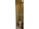 Small half bathroom with toilet and sink at 20006 Nob Oak Ave, Tampa, FL 33647