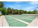 Well-maintained shuffleboard courts in a community setting at 4936 Hazner St, New Port Richey, FL 34652