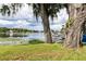 Lakeside view featuring mature trees, hammock and picturesque scenery at 3744 E Lake Dr, Land O Lakes, FL 34639