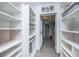 Spacious walk-in closet with custom shelving and convenient laundry area at 3744 E Lake Dr, Land O Lakes, FL 34639