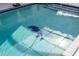 Close-up of in-ground pool with decorative dolphin mosaic at 3744 E Lake Dr, Land O Lakes, FL 34639