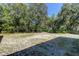 Spacious backyard bordered by mature trees at 11009 Maybird Ave, Weeki Wachee, FL 34613