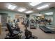 Well-equipped fitness center with treadmills, stationary bikes, and weights at 1134 S Pointe Alexis Dr, Tarpon Springs, FL 34689