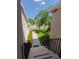 Side yard with stairs leading down to the grass at 1134 S Pointe Alexis Dr, Tarpon Springs, FL 34689