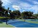 Well-maintained tennis courts perfect for recreation at 1134 S Pointe Alexis Dr, Tarpon Springs, FL 34689
