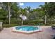 Relaxing hexagon-shaped spa surrounded by lush landscaping at 1134 S Pointe Alexis Dr, Tarpon Springs, FL 34689