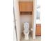 Bathroom toilet with wood cabinet above at 1134 S Pointe Alexis Dr, Tarpon Springs, FL 34689