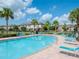 Community pool with lounge chairs and palm trees at 9107 Carolina Wren Dr, Tampa, FL 33626