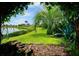 A backyard with healthy green grass, mature palm trees, and a beautiful pond at 331 Star Shell Dr, Apollo Beach, FL 33572