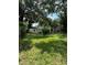 Large backyard with a grassy area and mature trees at 4013 W Inman Ave, Tampa, FL 33609