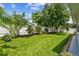 Well-manicured backyard with lush green lawn, mature trees and a white privacy fence at 1130 Big Creek Dr, Wesley Chapel, FL 33544