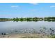 Scenic lake view with tranquil waters and lush foliage at 7156 E Bank Dr # 7156, Tampa, FL 33617
