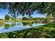 Picturesque pond surrounded by lush greenery at 11329 Emerson Lake Dr, Riverview, FL 33578