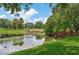 Serene pond with lush greenery and palm trees at 11329 Emerson Lake Dr, Riverview, FL 33578