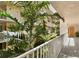 Lush tropical courtyard visible from a bright interior hallway at 16308 Gulf Blvd # 209, Redington Beach, FL 33708