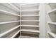Large walk-in pantry with ample shelving for storage at 19411 Sheltered Hill Dr, Brooksville, FL 34601