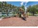 Community playground with slides, climbing structures, and swings, with a scenic view of the lake at 5407 Treig Ln, Wesley Chapel, FL 33545