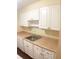Updated kitchen with white cabinets, neutral countertops and wood flooring at 4335 Aegean Dr # 106A, Tampa, FL 33611