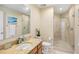 Bathroom with walk-in shower and vanity at 1209 E Cumberland Ave # 807, Tampa, FL 33602