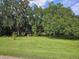 Ranch-style home on a spacious lot with mature trees and lush landscaping at 15222 Lost Lake Ln, Lithia, FL 33547