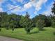 Large grassy area with various trees and shrubs at 15222 Lost Lake Ln, Lithia, FL 33547