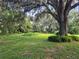 Serene backyard with large oak trees and lush greenery at 15222 Lost Lake Ln, Lithia, FL 33547
